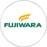 Calçados de Segurança Fujiwara 3